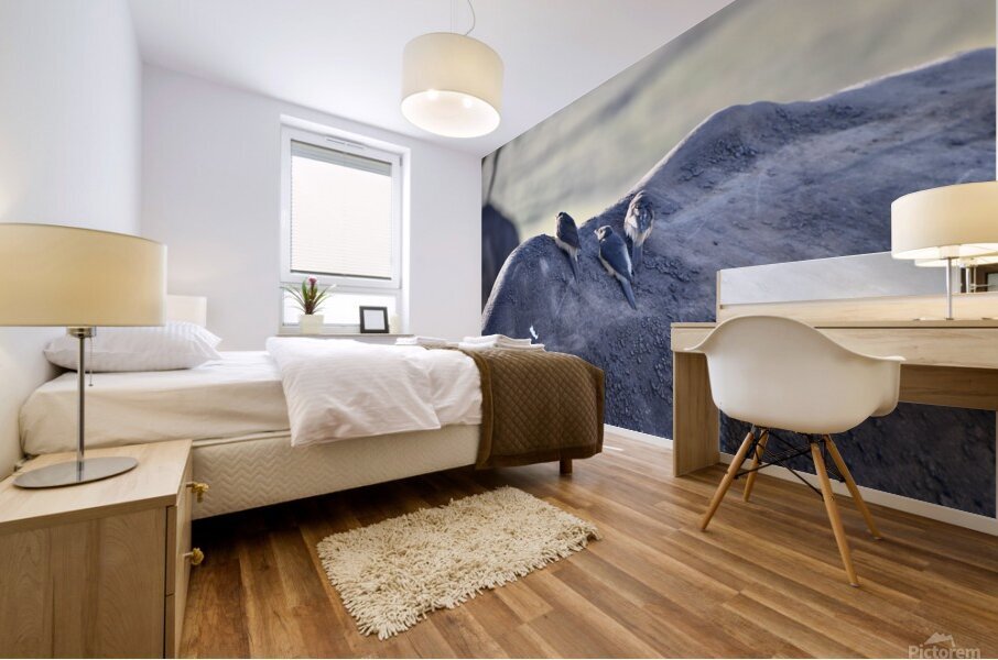 DSC 6682 Mural print