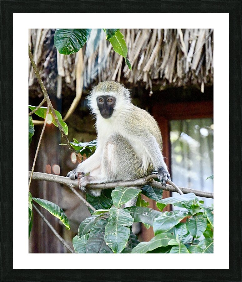 DSC 7014 Picture Frame print