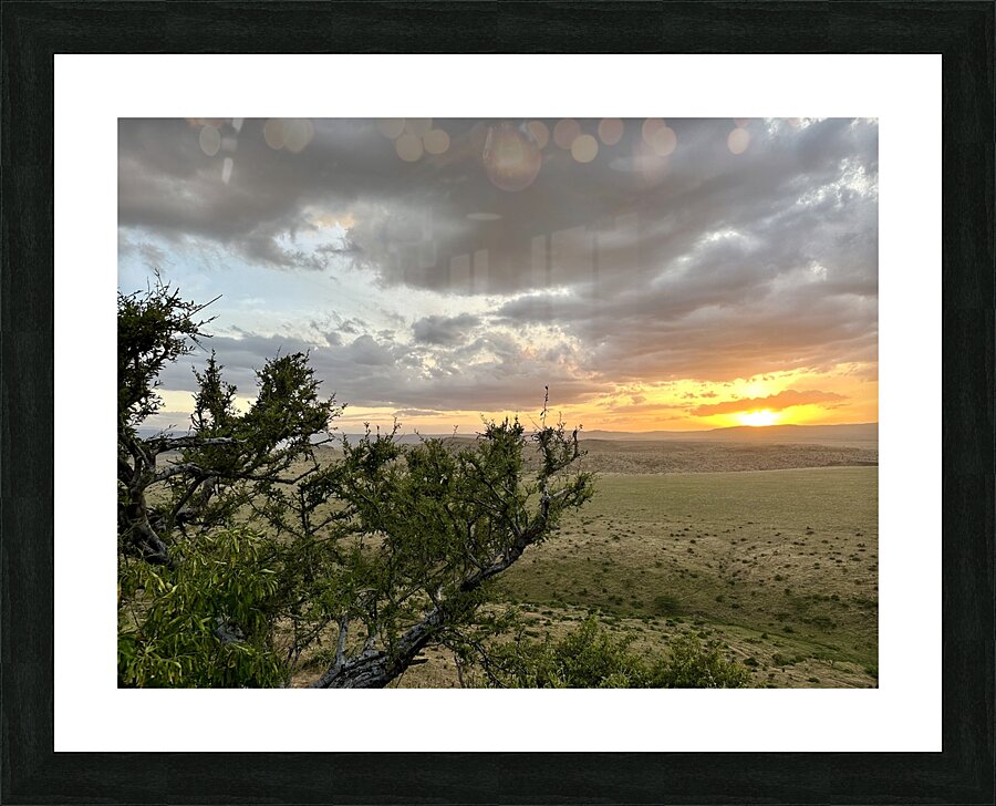 IMG 7229 Picture Frame print