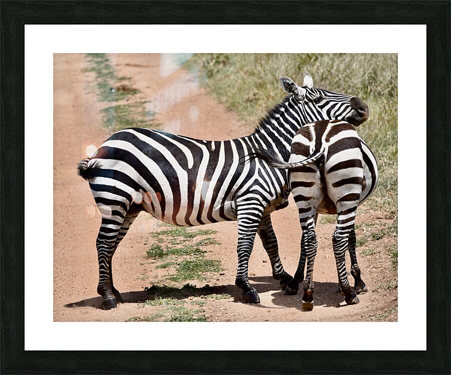 DSC 7332 Picture Frame print