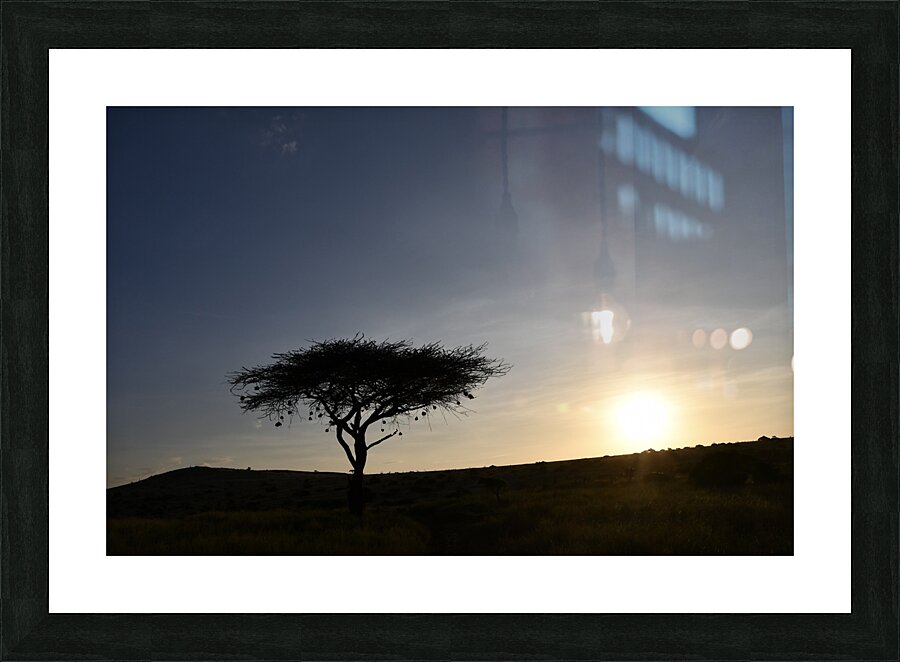 DSC 7211 Picture Frame print