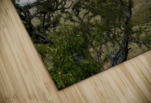 IMG 7229 Gary Leigh Brown puzzle