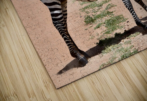 DSC 7332 Gary Leigh Brown puzzle