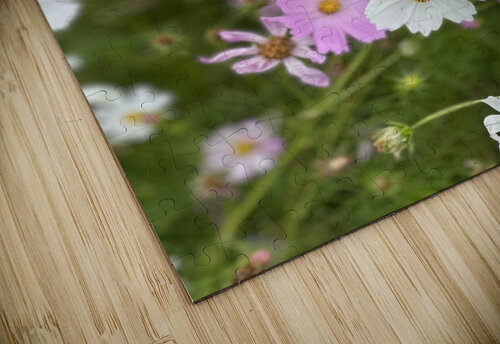 IMG 7088 Gary Leigh Brown puzzle