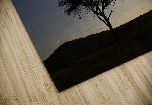 DSC 7211 Gary Leigh Brown puzzle