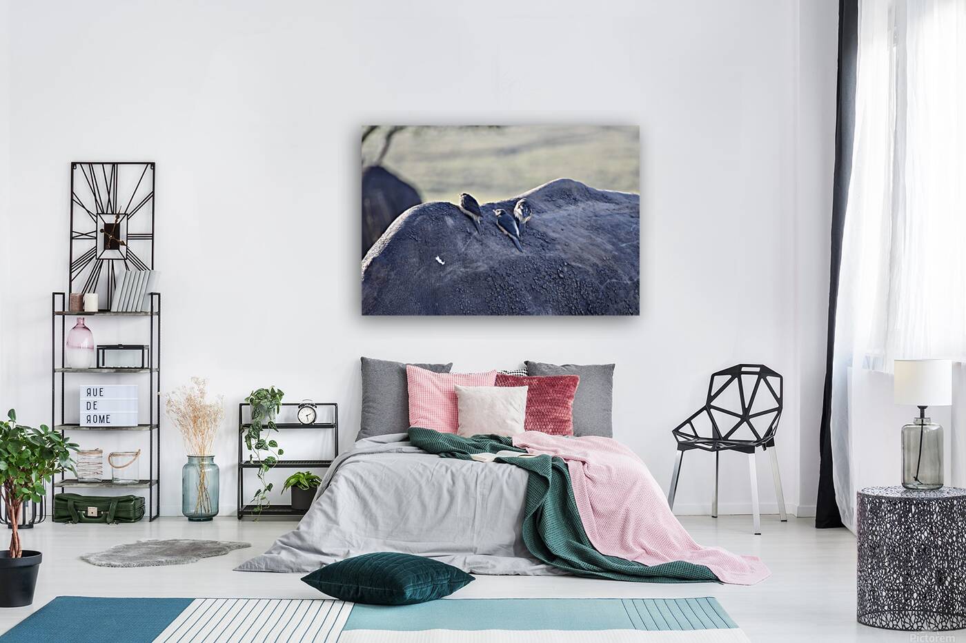 DSC 6682 Reproduction