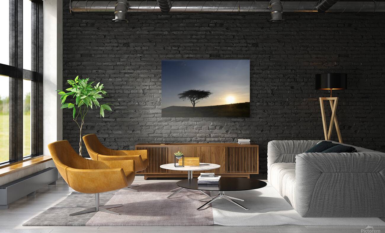 DSC 7211 Reproduction