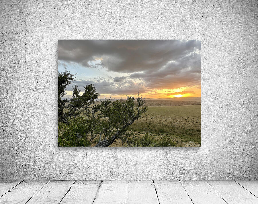 IMG 7229 Wall Preview