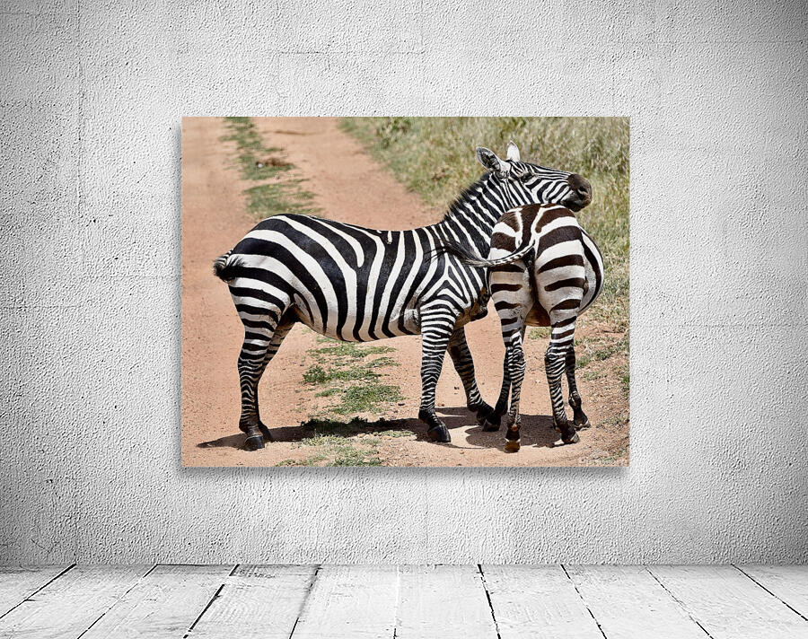 DSC 7332 Wall Preview