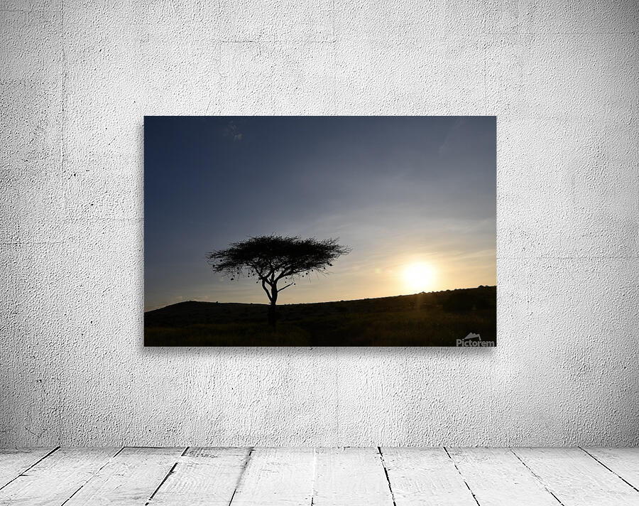 DSC 7211 Wall Preview