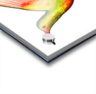 HUMMINGBIRD Acrylic print