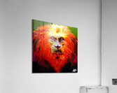 GOLDEN LION TAMARIN Acrylic Print