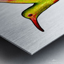 HUMMINGBIRD Metal print