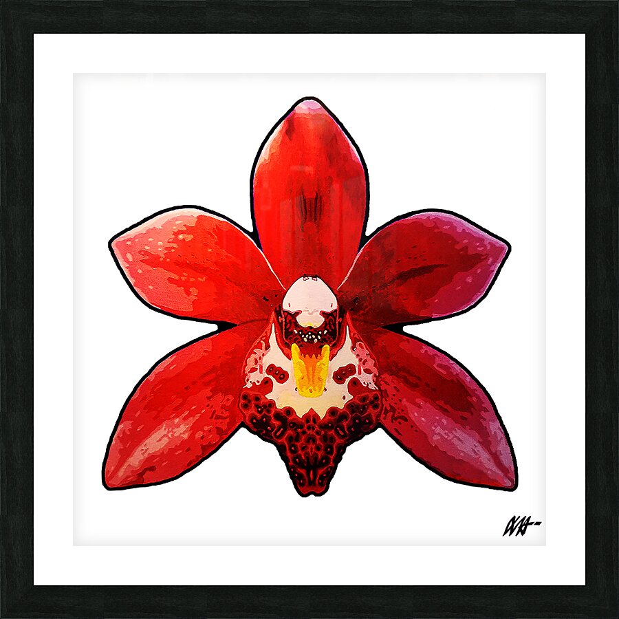 CYMBIDIUM ORCHID Picture Frame print