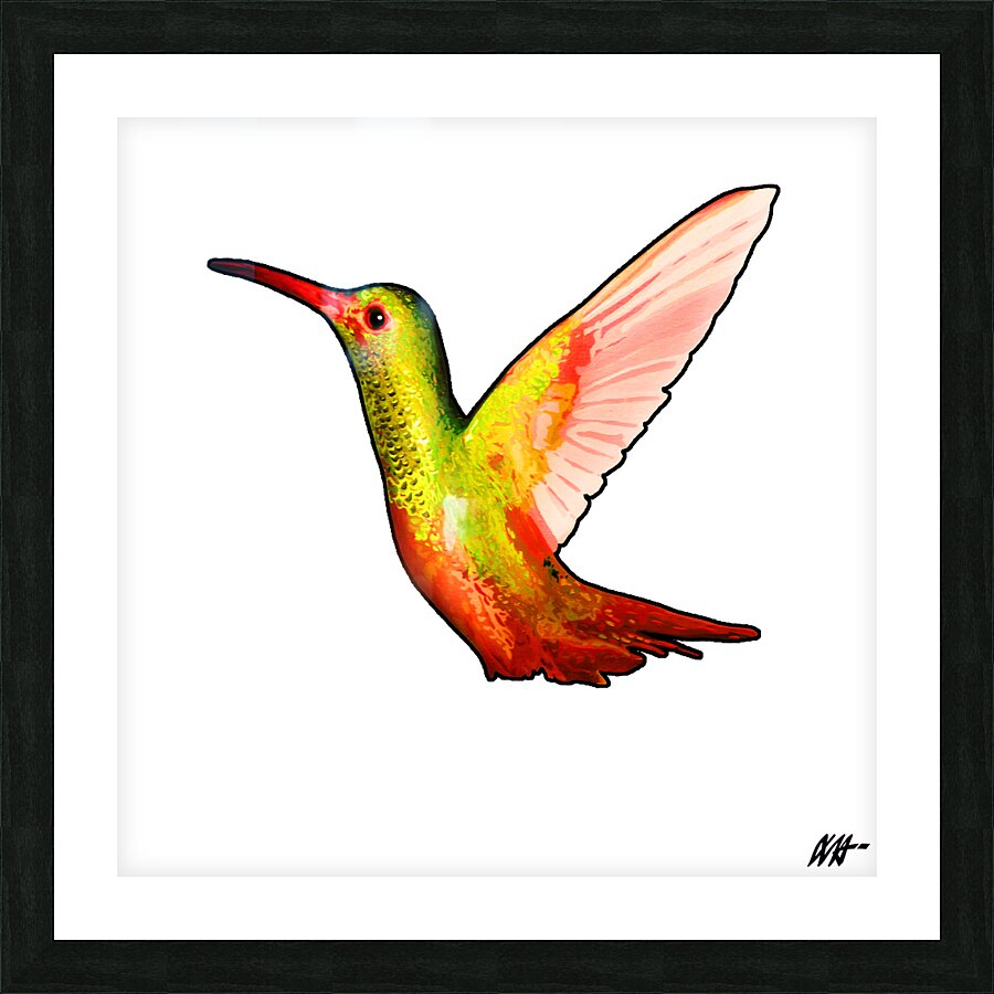 HUMMINGBIRD Picture Frame print