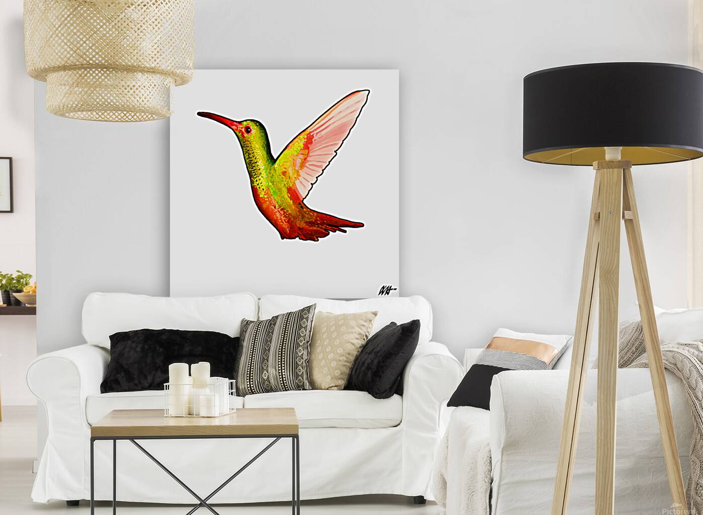 HUMMINGBIRD Reproduction