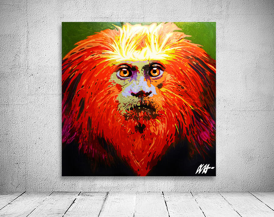 GOLDEN LION TAMARIN Wall Preview
