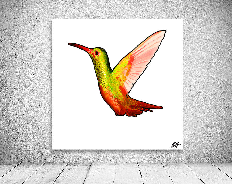HUMMINGBIRD Wall Preview
