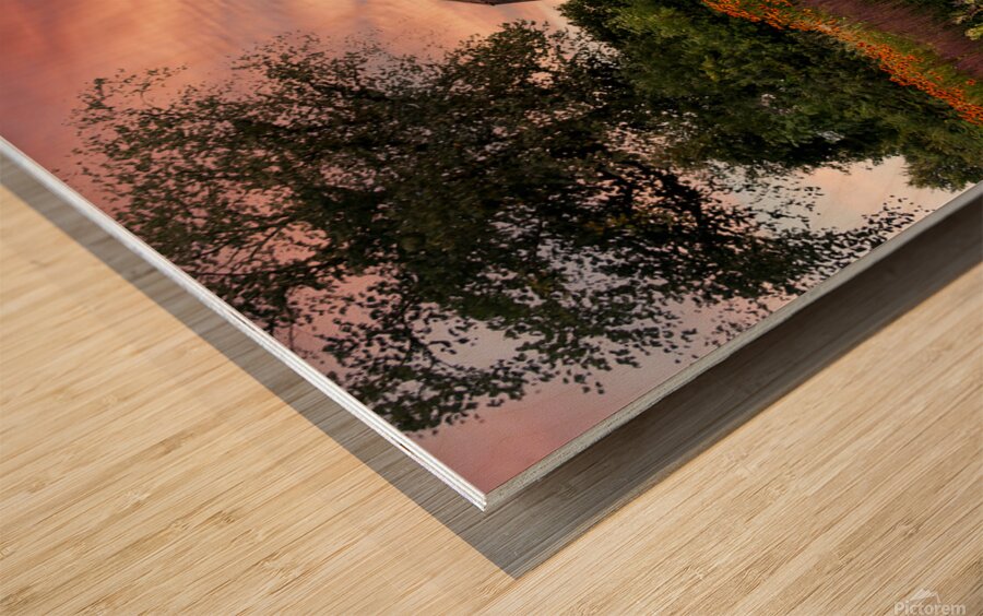 Scenic House - Stockholm Sweden Wood print