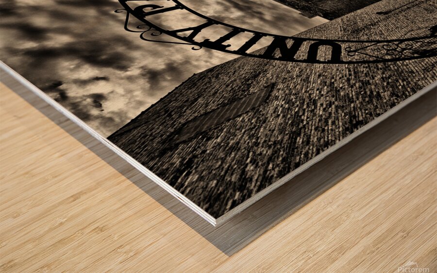 Unity Park - Michigan Wood print