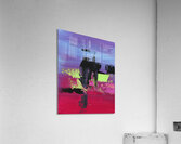 Day 049 Acrylic Print