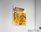 Day 092 Acrylic Print