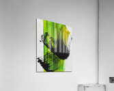 Day 100 Impression acrylique