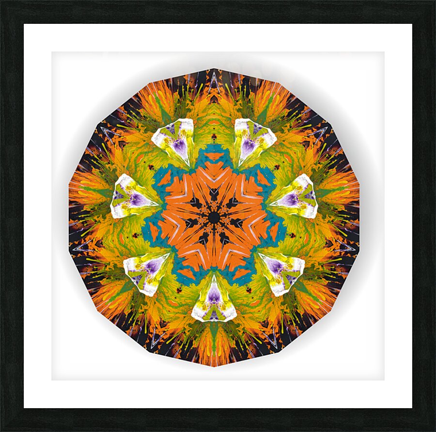 Kaleido10 Impression et Cadre photo