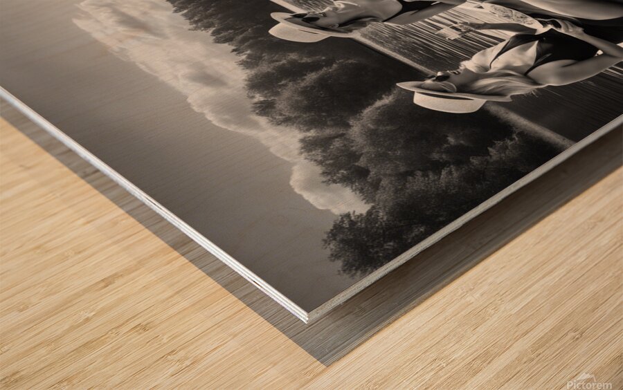 Elegant women enjoying a boat picnic wall art Wood print