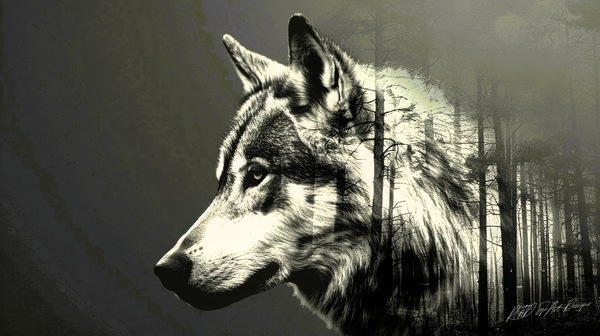 Wolf Silhouette  Digital Download