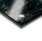 Track Of The Wolf  Acrylic print