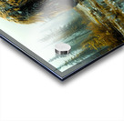 Bear Brand Acrylic print