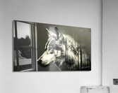 Wolf Silhouette  Acrylic Print