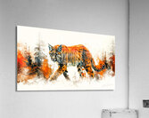 Wild Cat Acrylic Print