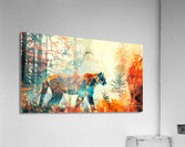 Wild Cat Cougar Acrylic Print