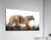 Wild Cat Prints Acrylic Print