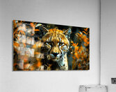 Wild Cat Jungle Acrylic Print