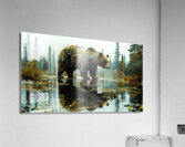 Bear Brand Acrylic Print