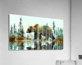 Bear River Acrylic Print