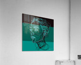 Tri Color Profile Acrylic Print