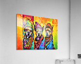 Mexican Chihuahuas Acrylic Print