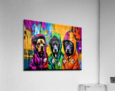 Chihuahua Types Acrylic Print