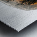 Wild Cat Prints Metal print