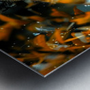 Wild Cat Jungle Metal print