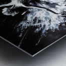 For The Love Of Ballet 2 Metal print