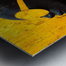 Eclipse Glasses Metal print