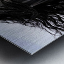 Friesian Black Horse - Mane Attraction Metal print