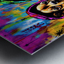 Chihuahua Types Metal print