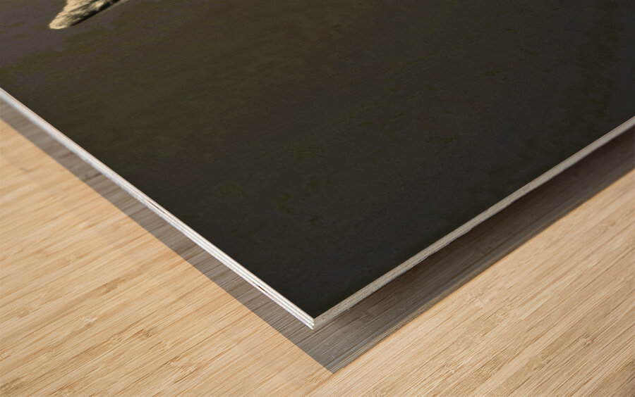 Wolf Silhouette  Wood print