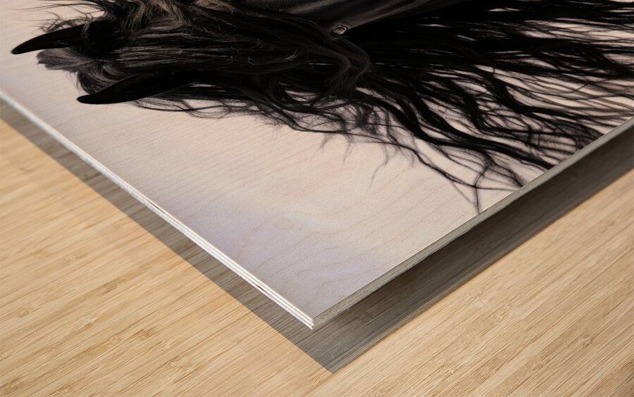 Friesian Black Horse - Mane Attraction Wood print